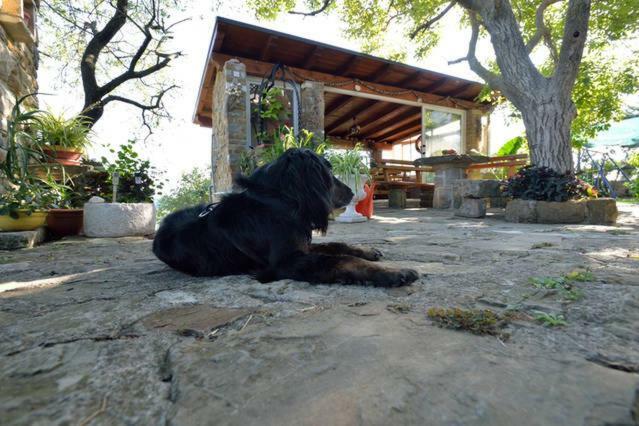 Hostal Cozy Istrian House Izola Exterior foto