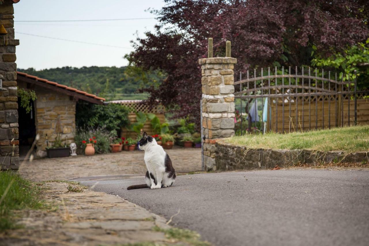 Hostal Cozy Istrian House Izola Exterior foto