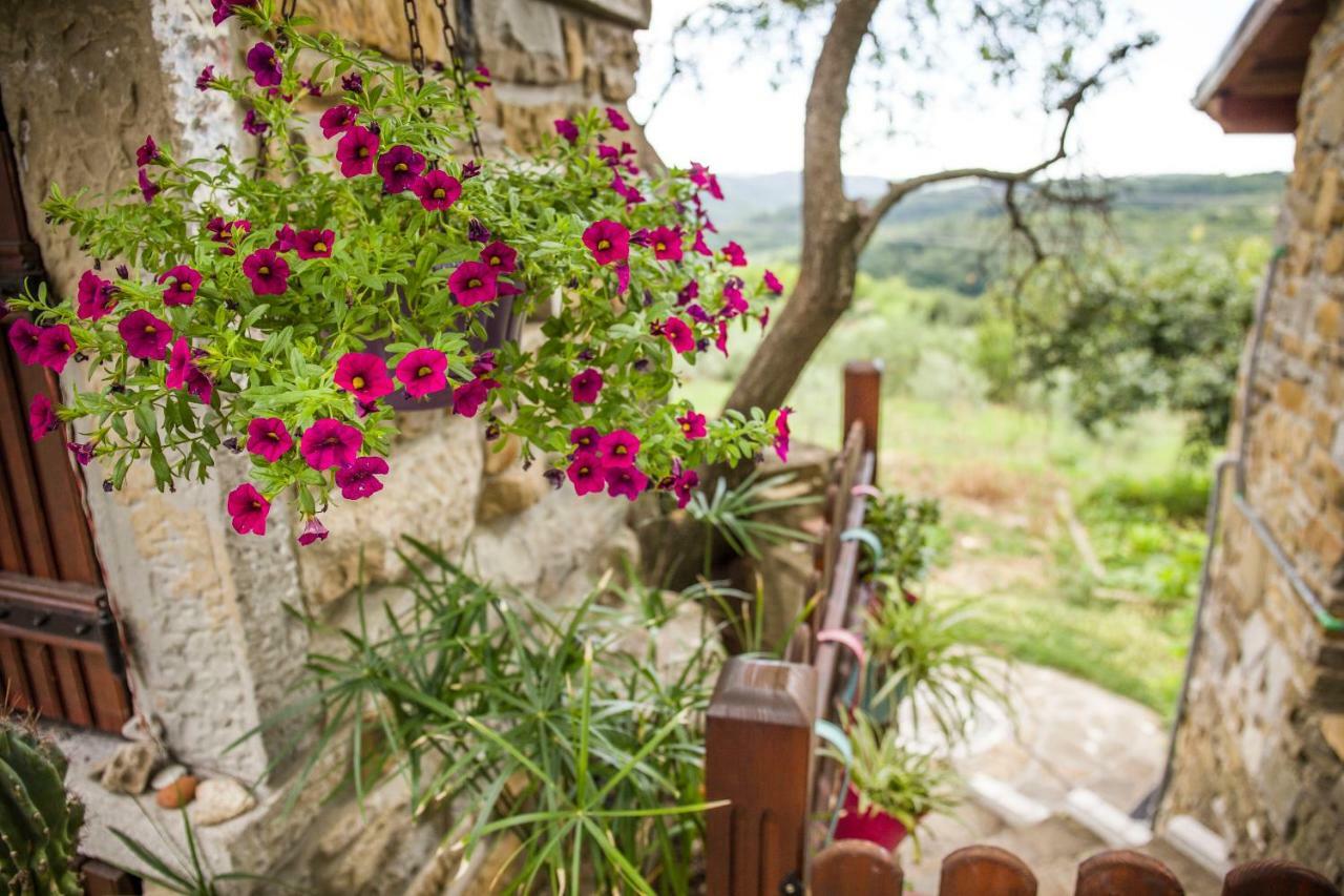 Hostal Cozy Istrian House Izola Exterior foto
