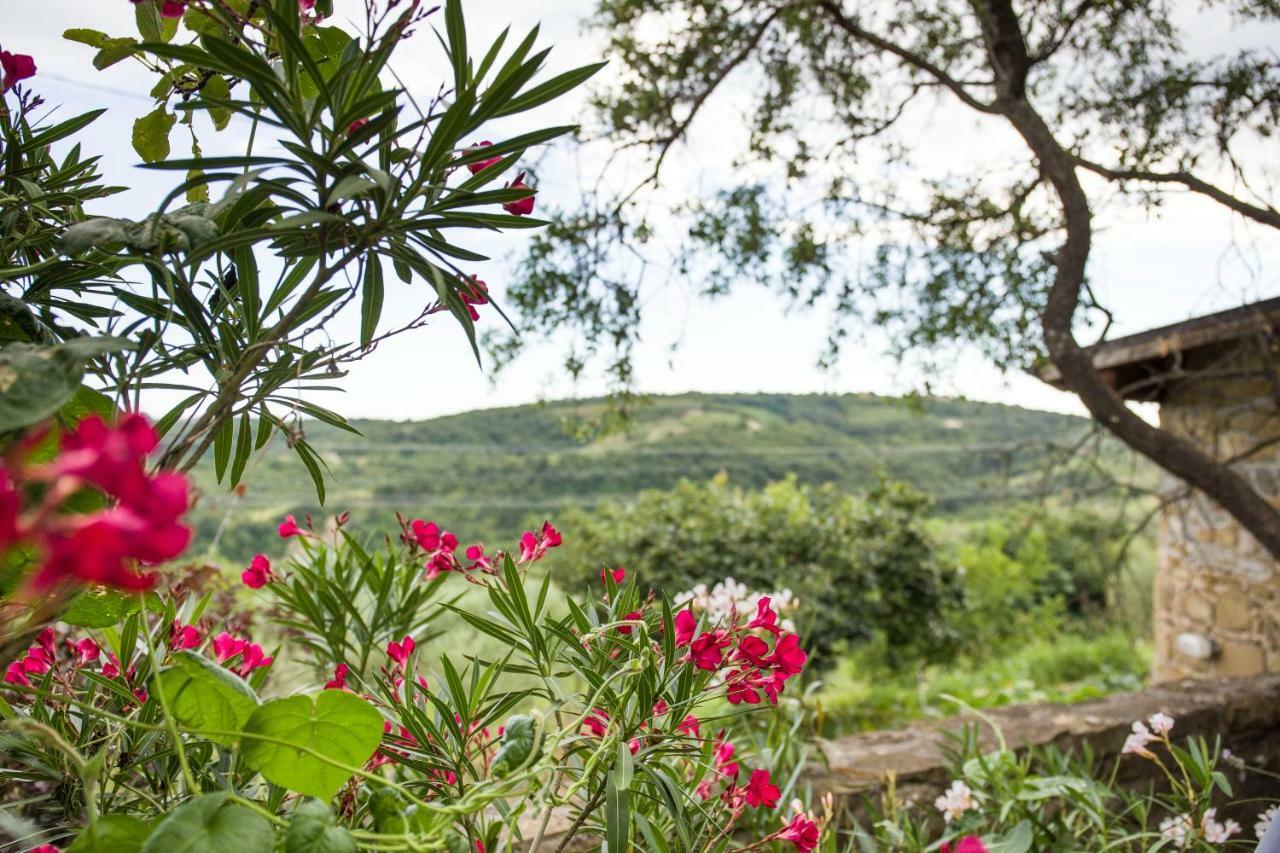 Hostal Cozy Istrian House Izola Exterior foto