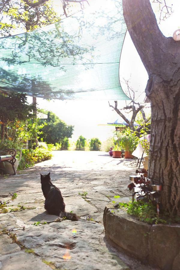 Hostal Cozy Istrian House Izola Exterior foto