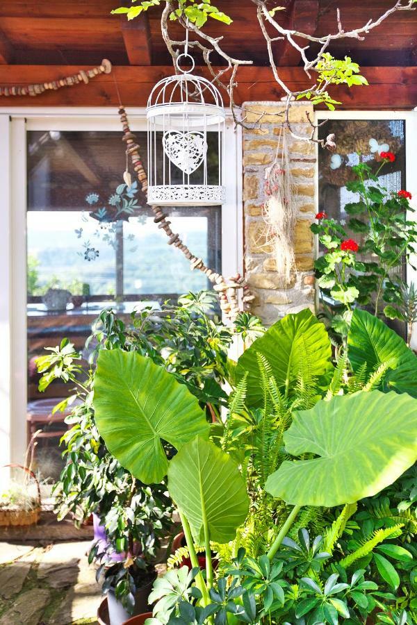 Hostal Cozy Istrian House Izola Exterior foto