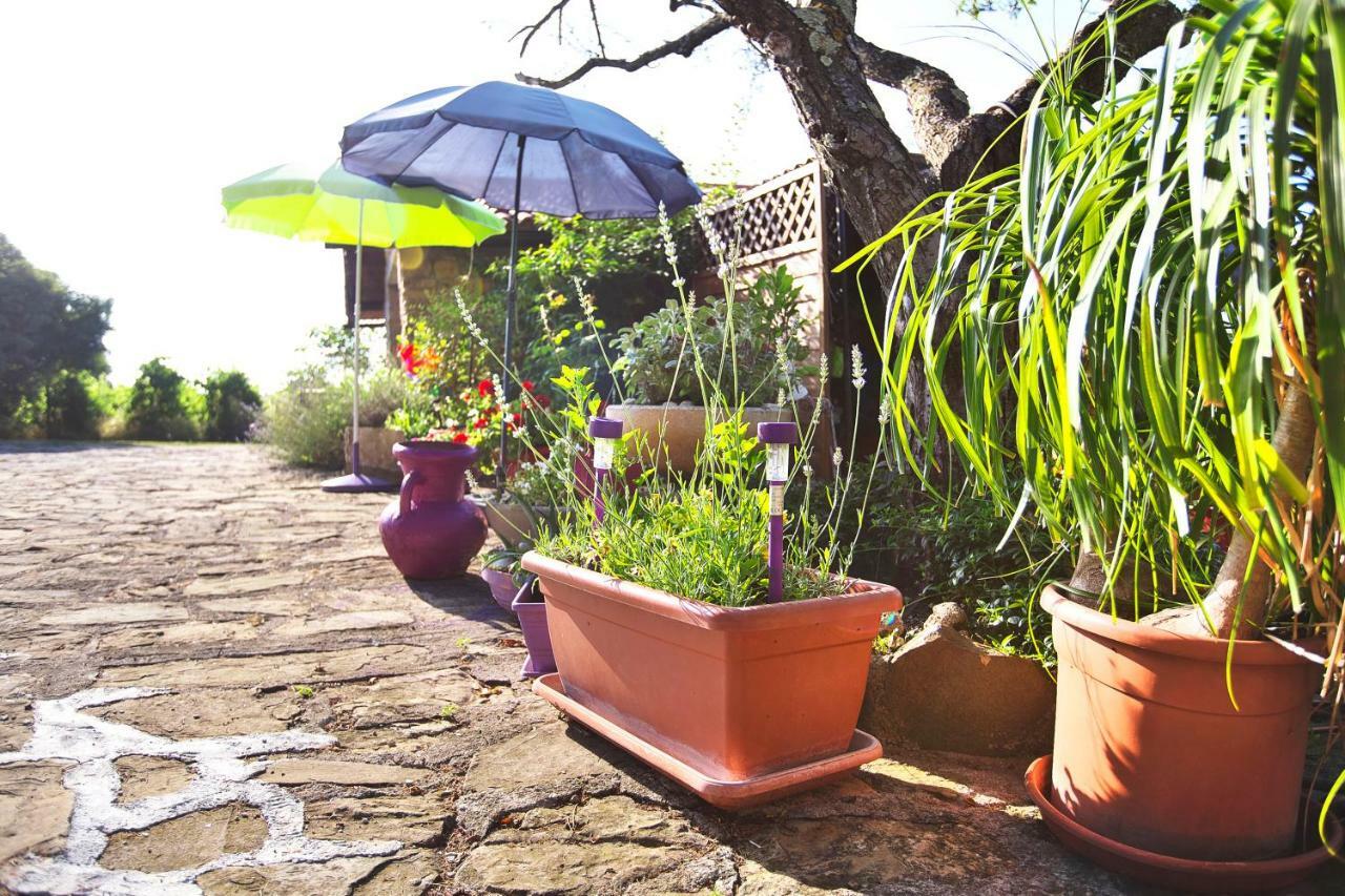 Hostal Cozy Istrian House Izola Exterior foto
